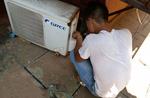 ���������޿��{�Ԓ̖�a_������ԃ