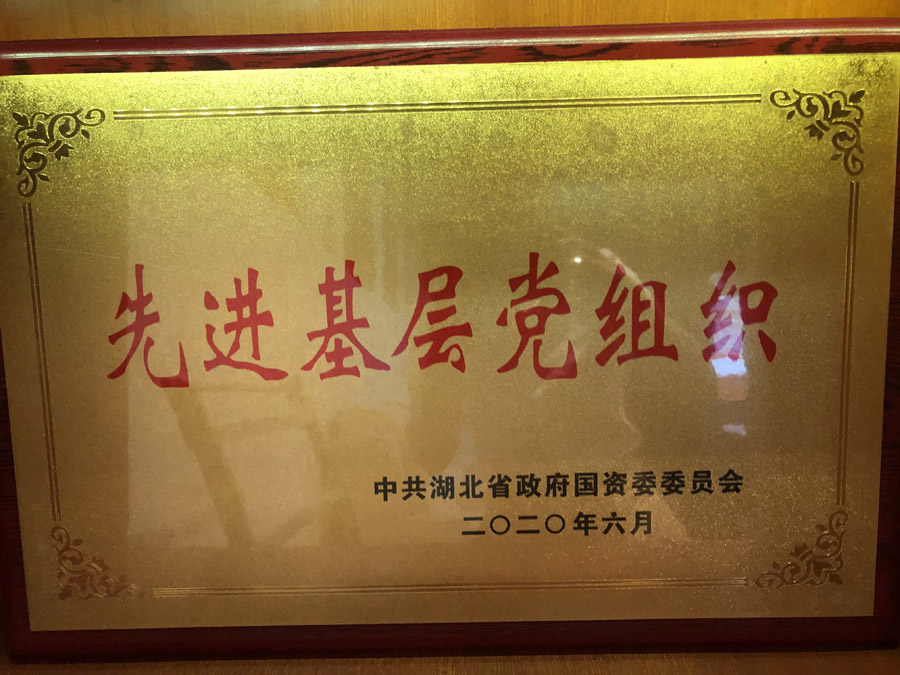 2020年6月，被省國(guó)資委評(píng)為“先進(jìn)基層黨組織”